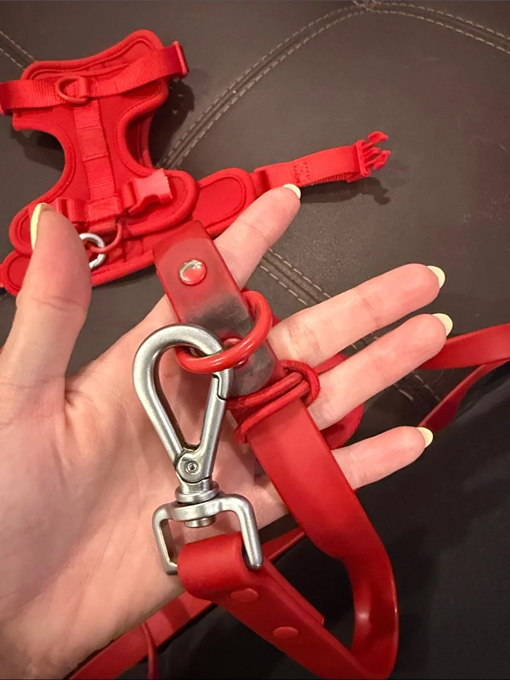 Wild One Red Small Dog Harness, X Long Leash, and Poop bag holder